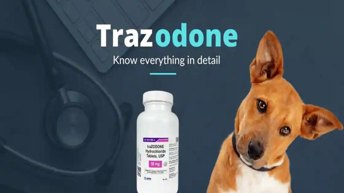 Trazodone For Dogs Dosage Chart By Weight Kg