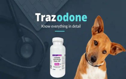 Trazodone For Dogs Dosage Chart By Weight Kg