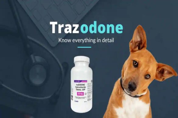 Trazodone For Dogs Dosage Chart By Weight Kg